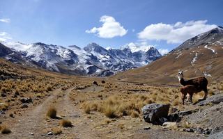 Treking v Cordilleri Real