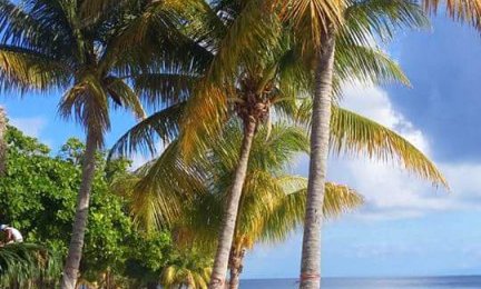 Mrežo so zbereš sam ;-)