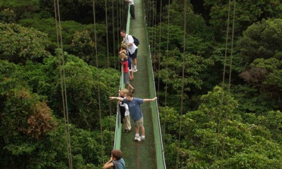 Viseči mostovi v nacionalnih parkih