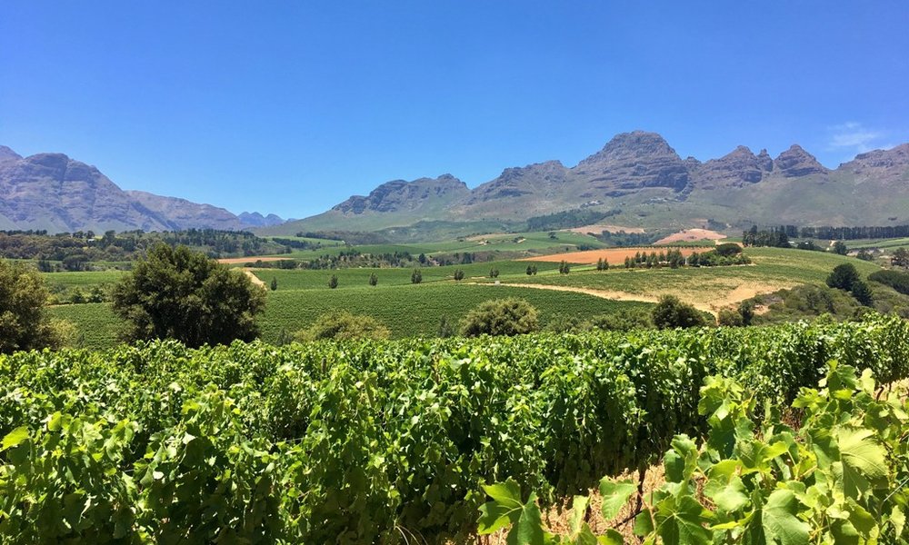 Vinska pot v okolici Capetowna