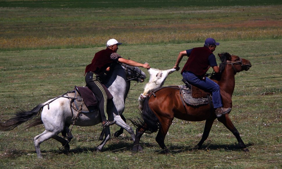 Ragbi na konjih, za žogo pa obglavljena ovca (buzkaši)