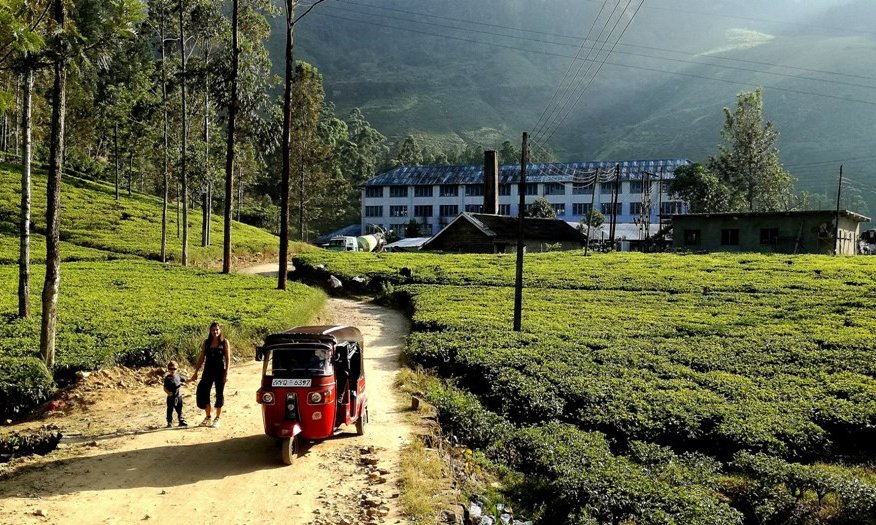 Šri Lanka in Maldivi - 6714.jpg