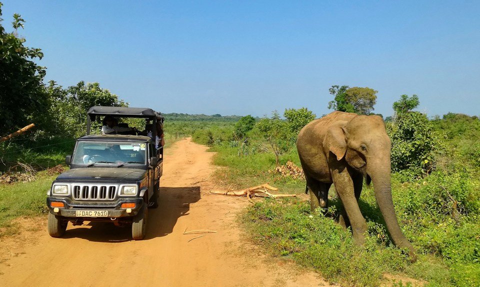Šri Lanka in Maldivi - 6719.jpg