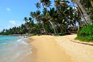 Šri Lanka in Maldivi - 6721.JPG