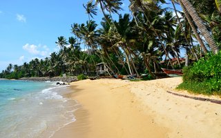 Šri Lanka in Maldivi - 6721.JPG