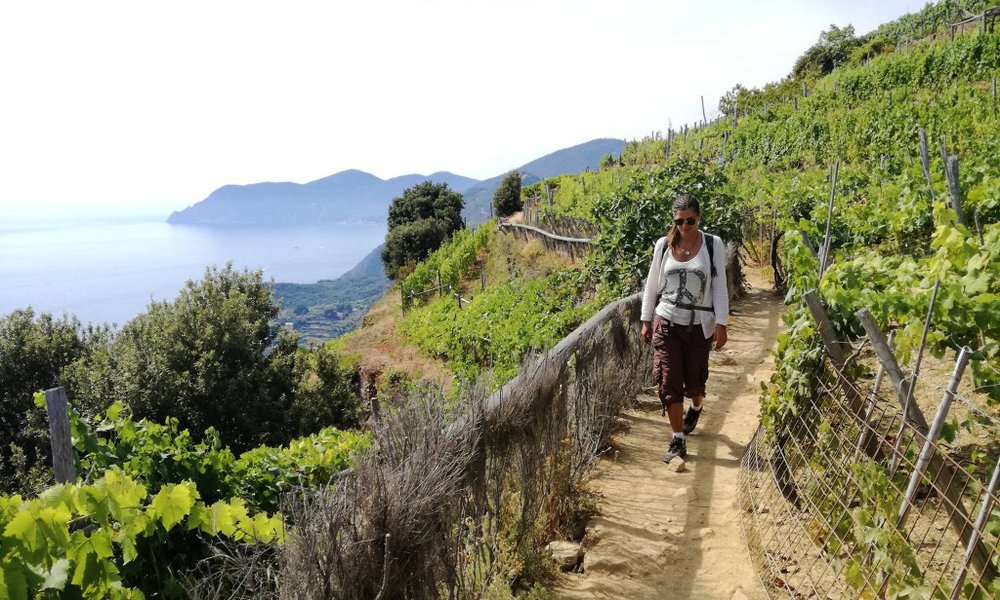 Cinque Terre in Cinque Tramonti, Italija - 6789.jpg