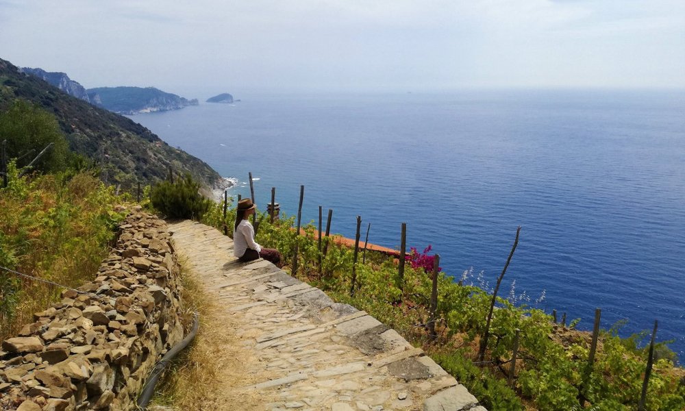 Cinque Terre in Cinque Tramonti, Italija - 6790.jpg