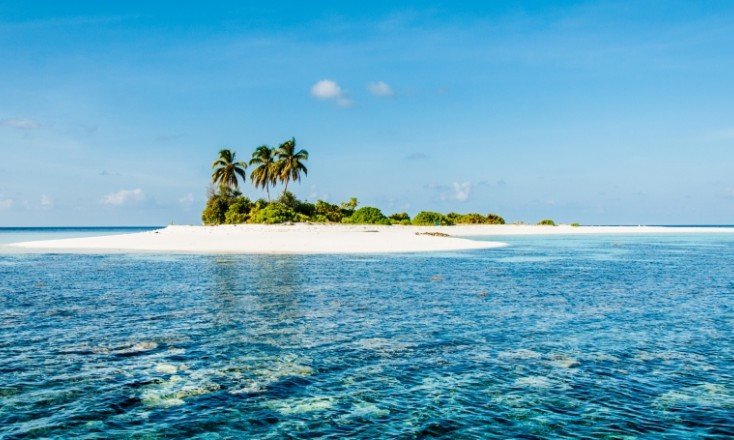 Maldivi potapljanje, otok Rasdhoo - 6812.jpg