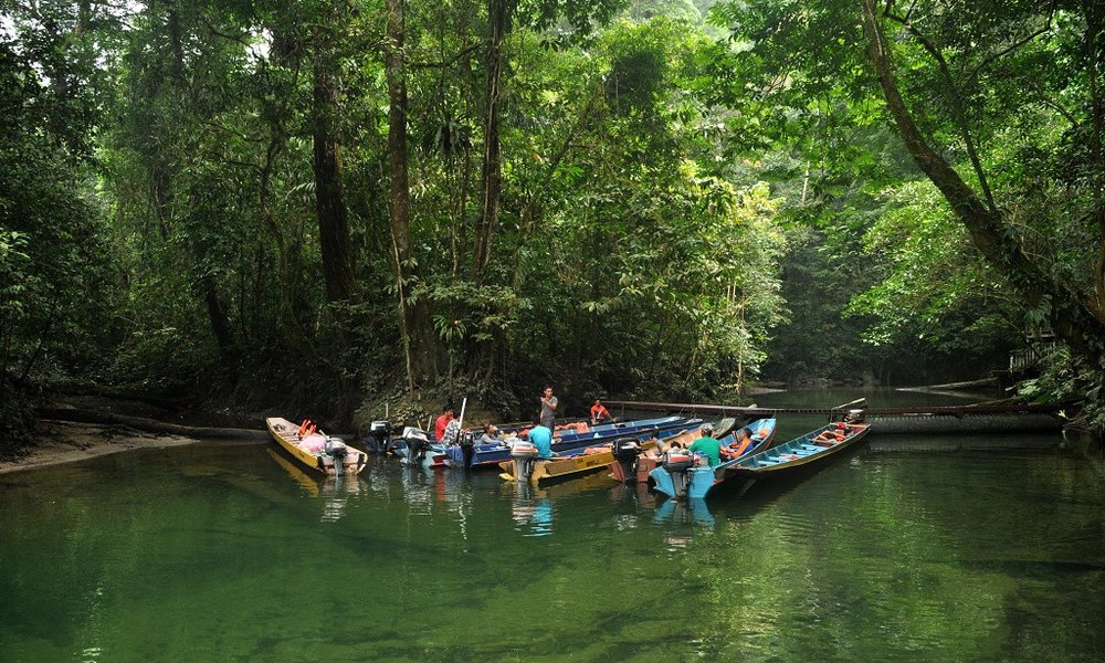 Borneo (Malezija) - 6887.JPG