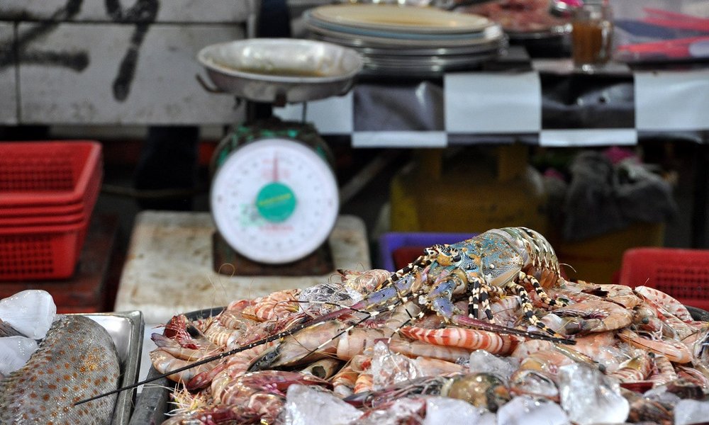 Borneo (Malezija) - 6888.JPG