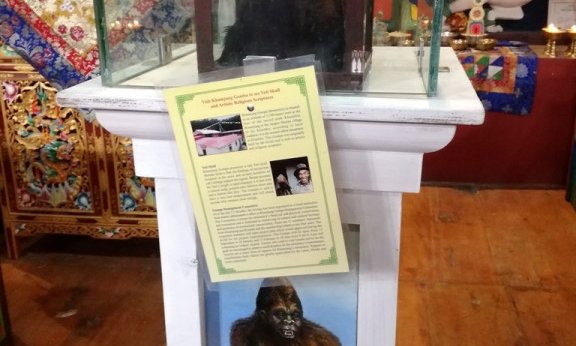 Nepal: treking Everest in jezera Gokyo - 6905.jpg