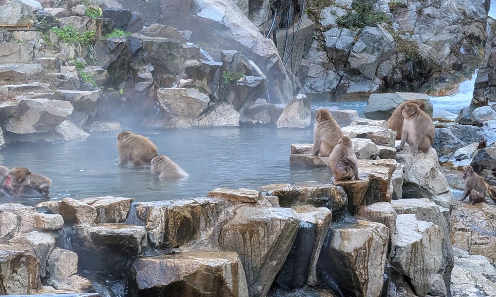 6ab455ab-3844-449f-862a-2bd871fa3227 2