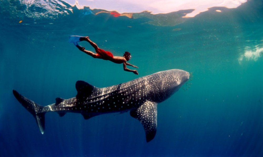 Maldivi Solo potniki - 7030.jpg