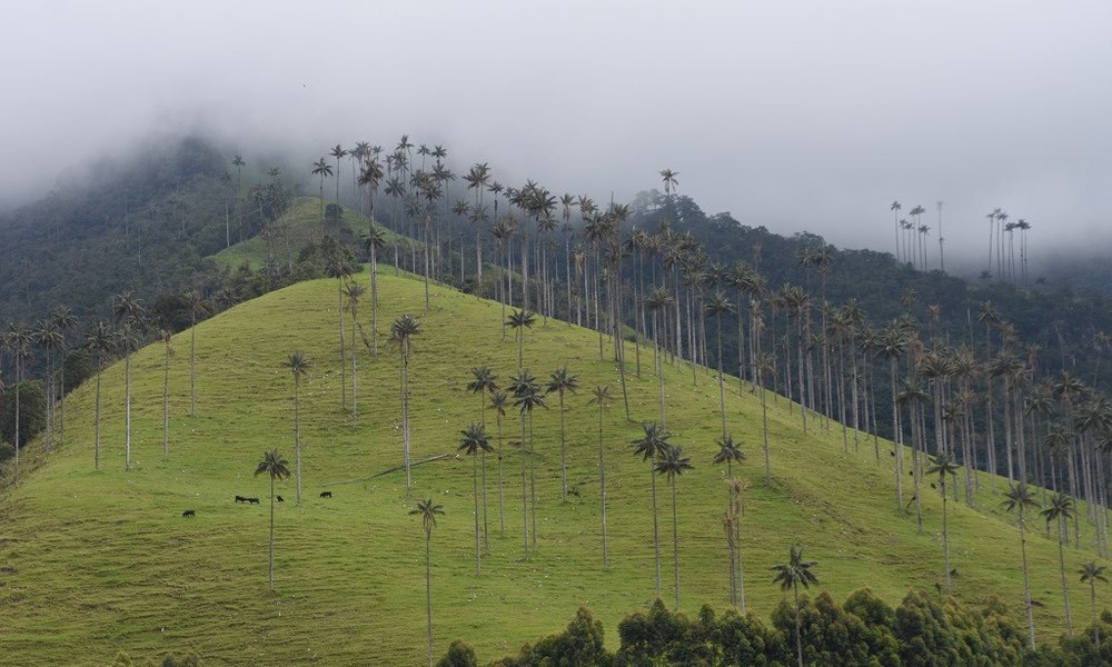 Kolumbija - 7070.jpg