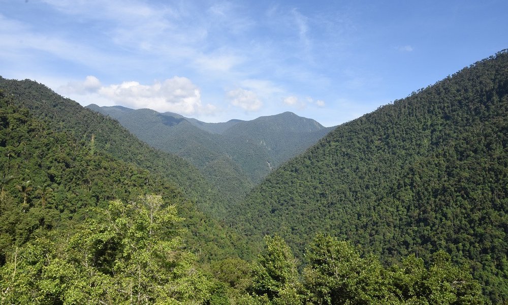 Kolumbija - 7079.jpg