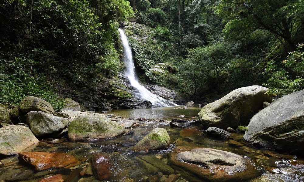 Kolumbija - 7080.jpg