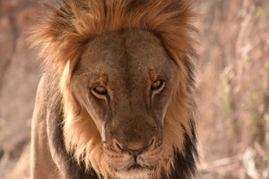 Senegal in Gambija - 7086.jpg