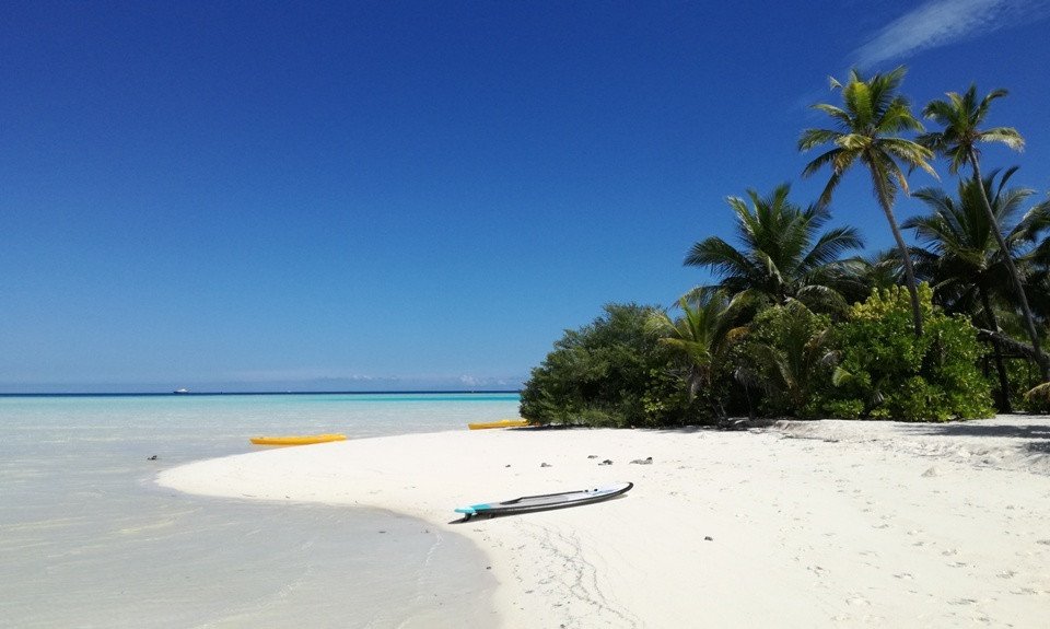 Maldivi otok Fulidhoo - 7125.jpg