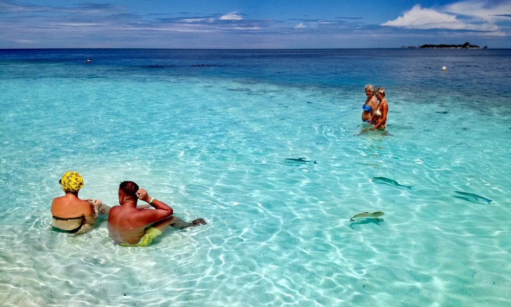 Maldivi otok Fulidhoo - 7132.jpg