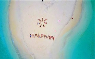 Maldivi  L - 7135.jpg