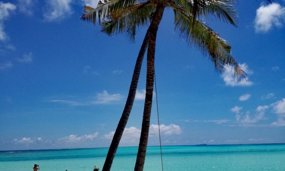 Maldivi  L - 7140.jpg