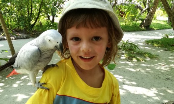 Maldivi otok Fulidhoo, za družine - 7158.jpg