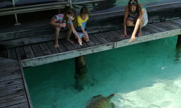 Maldivi otok Fulidhoo, za družine - 7159.jpg