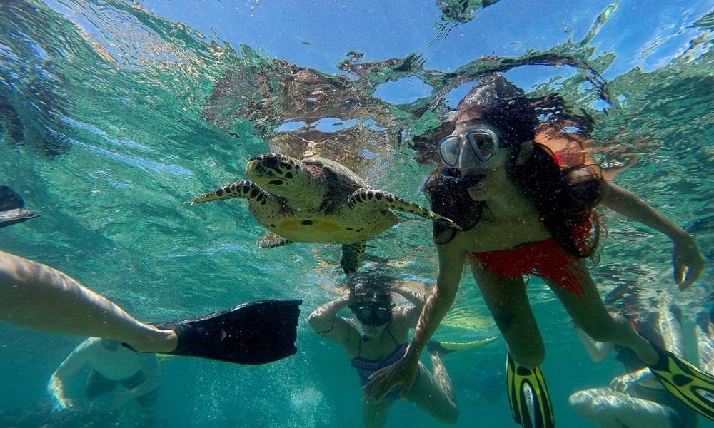 Maldivi otok Fulidhoo, za družine - 7161.JPG