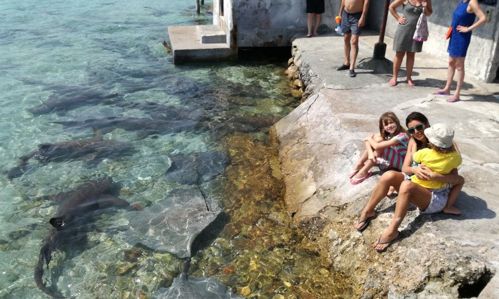 Maldivi  L, za družine - 7185.jpg