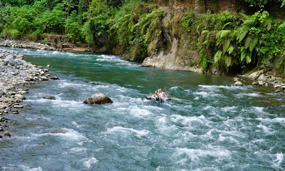 Sumatra z orangutani (Indonezija) - 7212.jpg