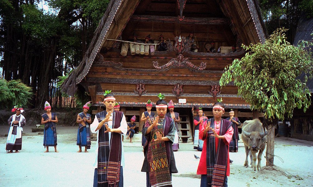 Sumatra z orangutani (Indonezija) - 7217.jpg