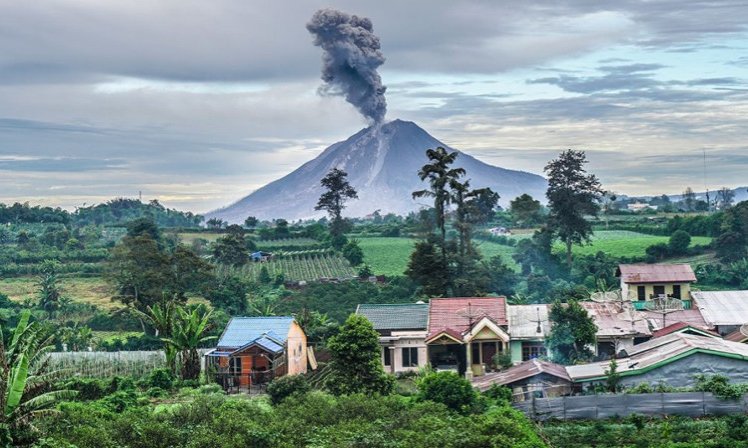 Sumatra z orangutani (Indonezija) - 7218.jpg