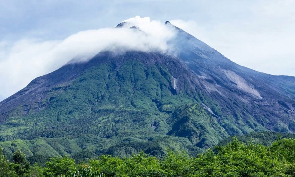 Sumatra z orangutani (Indonezija) - 7219.jpg