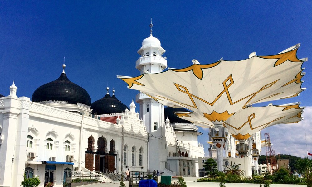 Sumatra z orangutani (Indonezija) - 7220.jpg