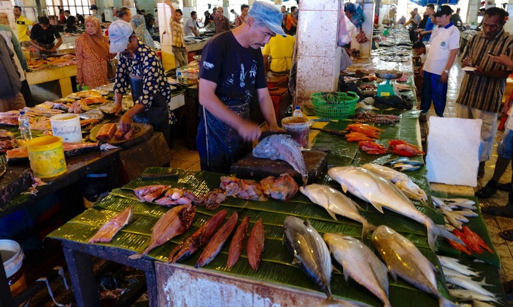 Sumatra z orangutani (Indonezija) - 7221.jpg