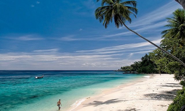 Sumatra z orangutani (Indonezija) - 7223.jpg