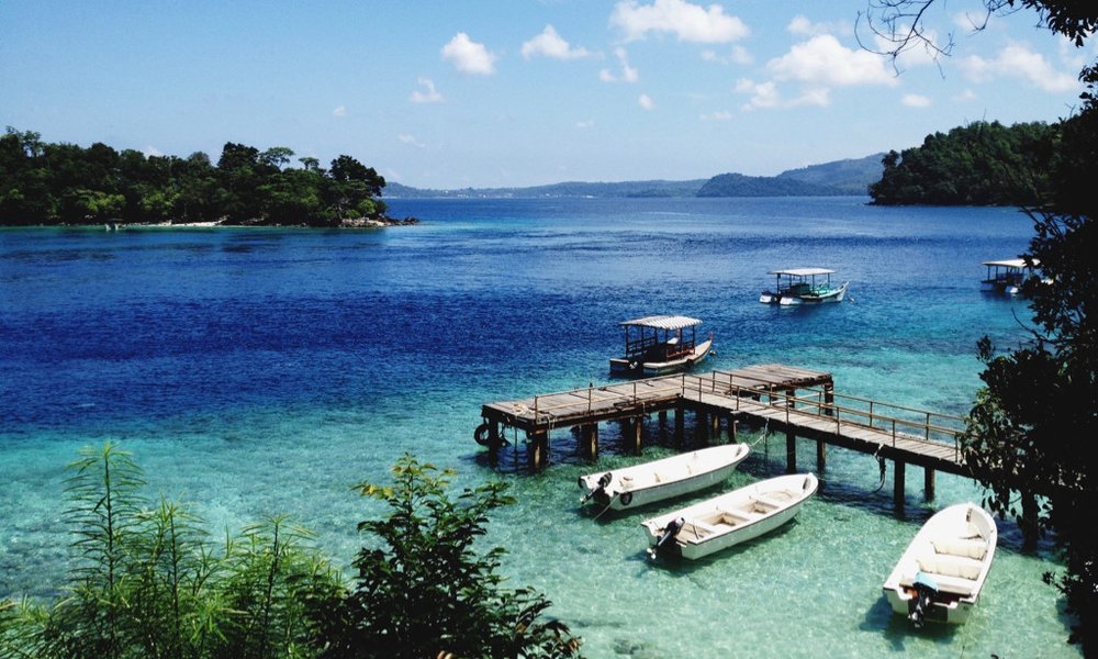 Sumatra z orangutani (Indonezija) - 7224.jpg