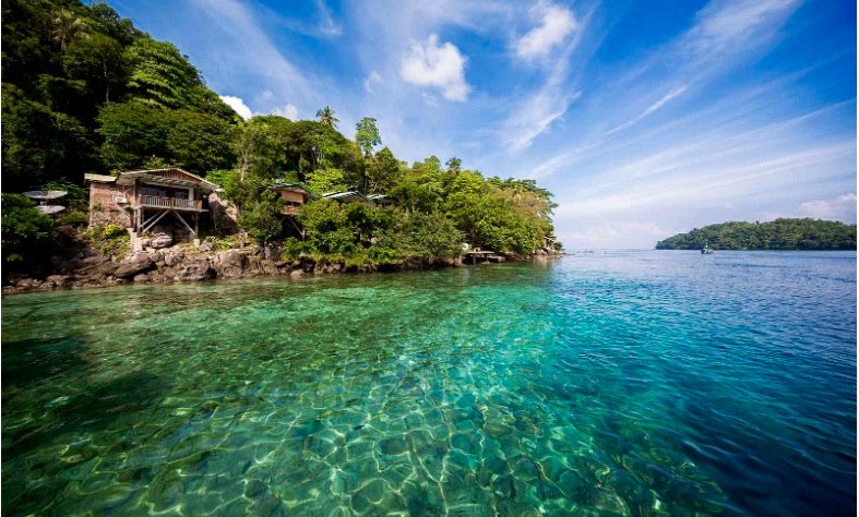 Sumatra z orangutani (Indonezija) - 7225.jpg