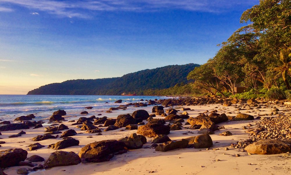 Sumatra z orangutani (Indonezija) - 7226.jpg