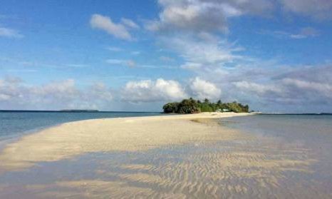 Maldivi otok Rasdhoo - 7414.jpg