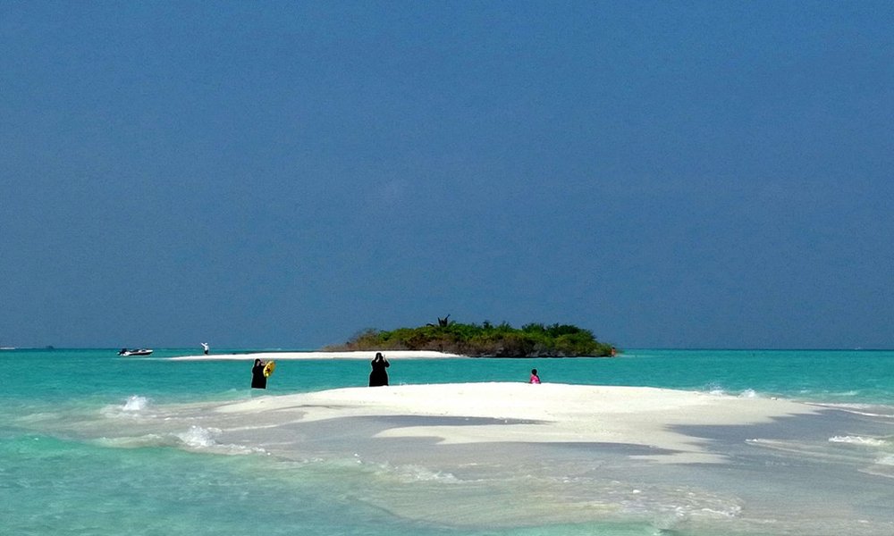 Maldivi otok Rasdhoo - 7421.jpg