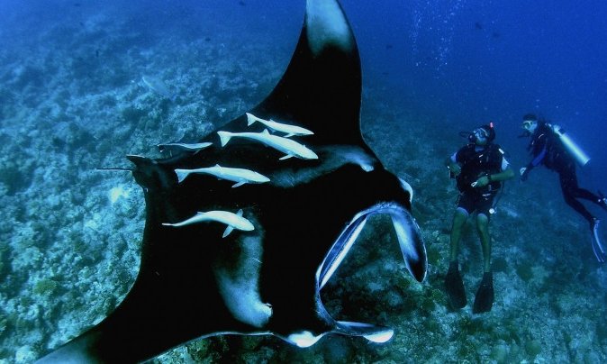 Maldivi otok Rasdhoo - 7427.jpg