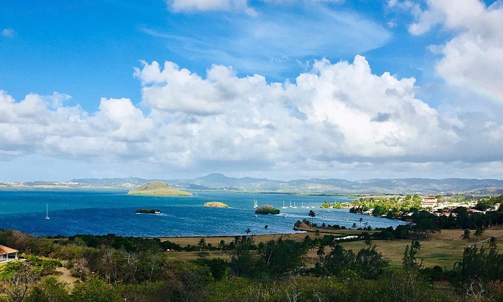 Karibi, jadranje - 7484.jpg