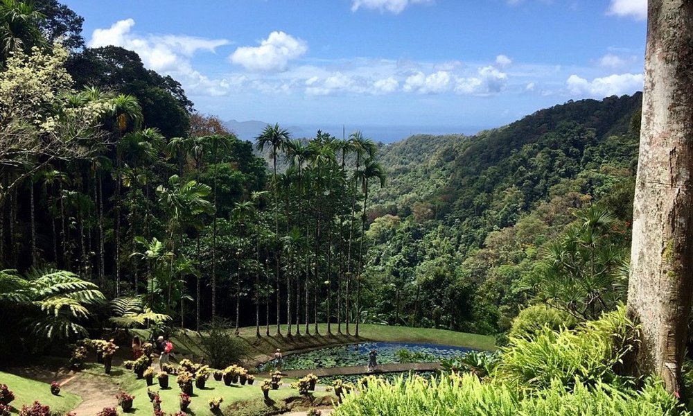 Karibi, jadranje - 7485.jpg