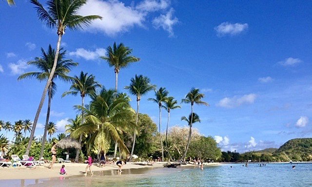 Karibi, jadranje - 7488.jpg