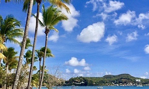 Karibi, jadranje - 7489.jpg