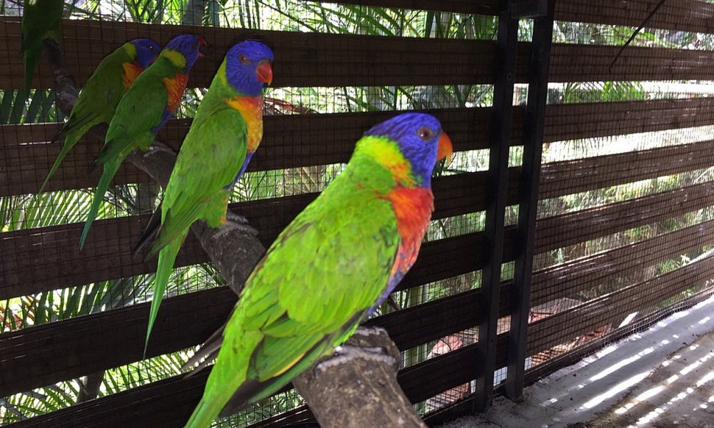 Karibi, jadranje - 7495.jpg