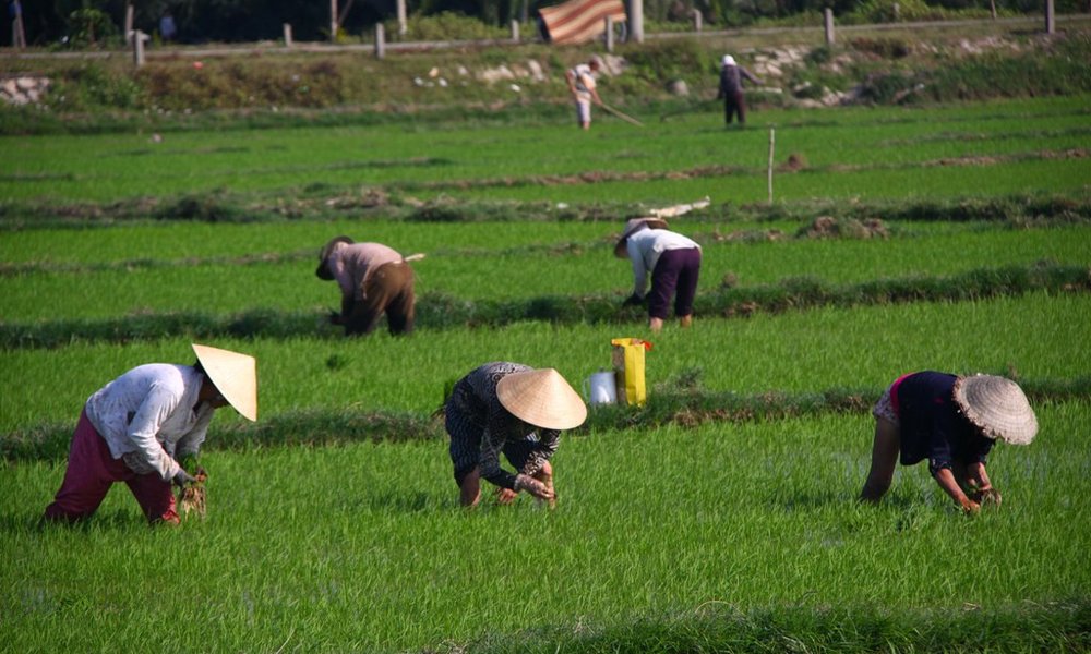 Vietnam Xpress - 7508.JPG