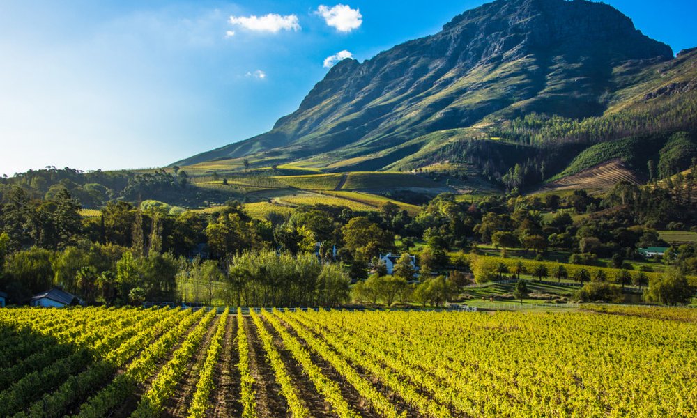 Južna Afrika - 7555.jpg