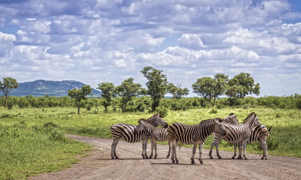 Južna Afrika - 7556.jpg